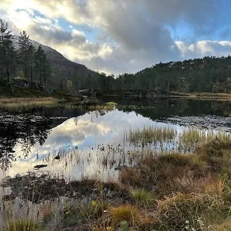 Luxurious Family Near Trolltunga, Buer בית נופש Utsikten