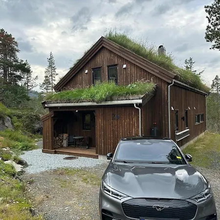 Luxurious Family Near Trolltunga, Buer בית נופש