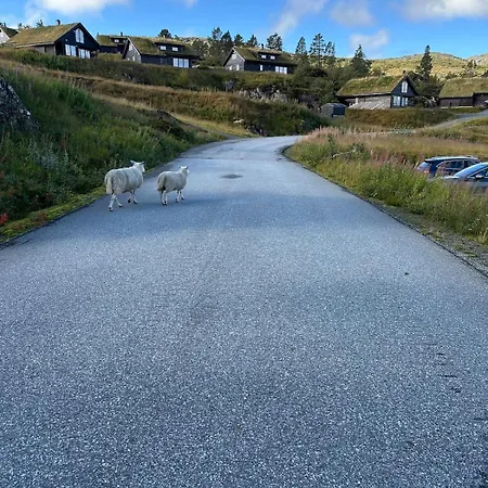בית נופש Luxurious Family Near Trolltunga, Buer Utsikten